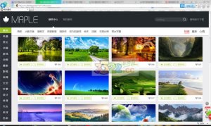 枫木壁纸图片官方版 1.0.6.122