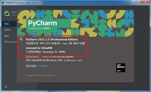 pycharm2021汉化包
