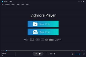 Vidmore Player v1.0.10中文破解版