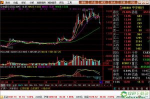 湘财证券金禾增强版10.3官方版