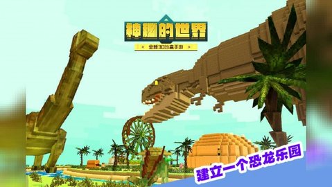 神秘的世界游戏