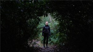 往日阴云 v1.0中文免安装版