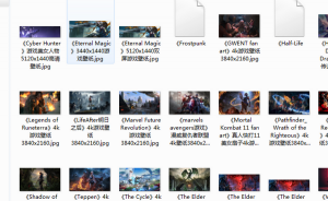 彼岸图网图片下载工具 1.0 免费绿色纯净