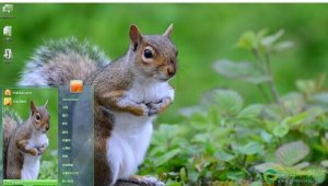 可爱松鼠Windows 7主题 免费版