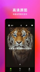 live动态壁纸图片app官方版 v1.7