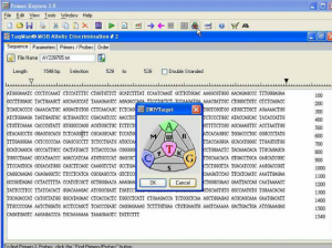 Beacon Designer crack最新版补丁