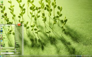 绿色养眼电脑主题