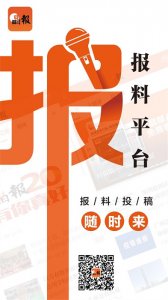 晶报v3.5.2 最新版