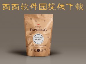 包装设计效果图展示模板