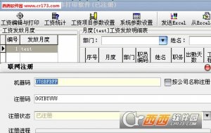 小狐狸薪资条制作打印软件注册版