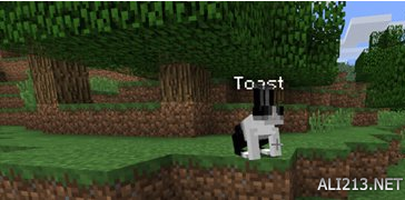 我的世界杀人兔养殖办法分析攻略