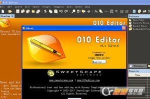 MFC|010Editor注册机X32+X64