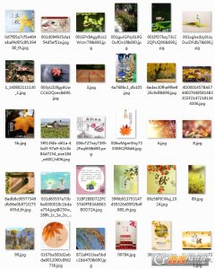 立秋祝福带字图大全2017