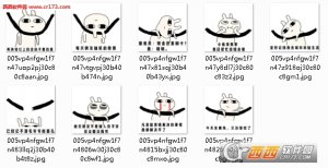 一句话证明你非常穷表情包