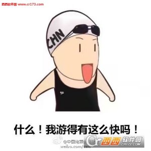 傅园慧Q版表情包