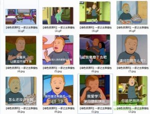 一家之主表情包 整套完整版