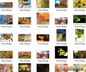 2017秋分极致美感带字图片素材
