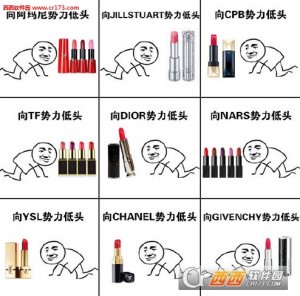 向口红权势低头表情包