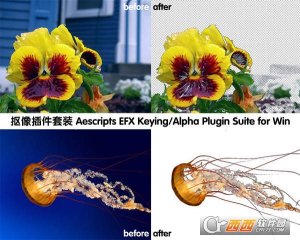 AE抠像插件套装EFX KeyingAlpha Plugin Suite