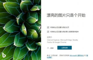 bing wallpaper必应壁纸图片 v1.0.9.6