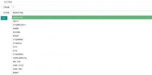 全系统支付通道