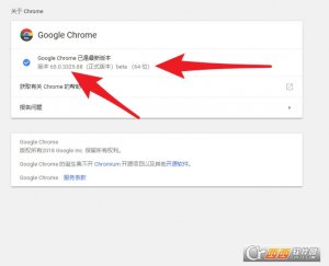Google Chrome 浏览器64位测试版