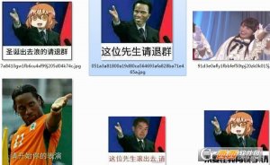 这位先生请退群表情包